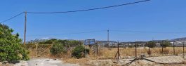 IMG_8392