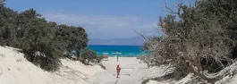 Χρυσή